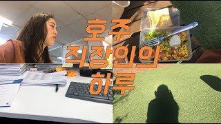 호주 직장인의 하루 | 워홀러 오피스잡 브이로그 | 해외 인턴 | 영어 대화 | 점심 도시락