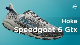 Hoka Speedgoat 6 Gtx