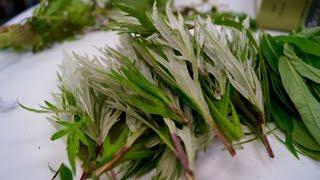 Stinkweed: Iñupiat Traditions