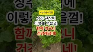 상추 진작에 이렇게 먹을껄! 함께 먹으니 건강해졌네! #건강 #건강정보
