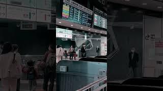 Tokyo Station Ticket  Gates