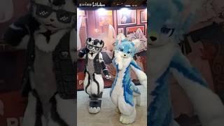 【Fursuit Dance】银碳Gintan  & 星冰乐齁甜 - WHIPLASH
