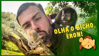 Macacos são sempre muito curiosos | Veja quais animais o Éron teve medo e quais ele gostou.