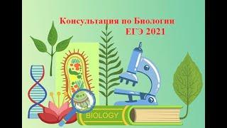 Консультация по биологии 2. ЕГЭ 2021