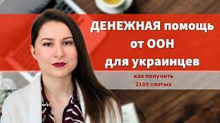 ПОМОЩЬ от ООН для украинцев. Пошаговая инструкция как получить 2100 злотых