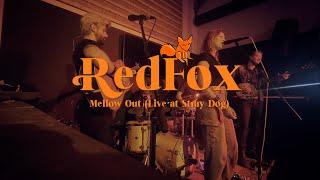 RedFox - Mellow Out (Live at Stray Dog)