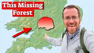 The UK's Largest LOST Forest.