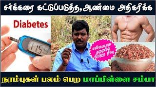 சர்க்கரை கட்டுப்படுத்த ,ஆண்மை அதிகரிக்க, நரம்புகள் பலம் பெற மாப்பிள்ளை சம்பா அரிசி|நலமுடன் வாழ்வோம்