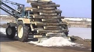 SALT HARVESTER IN INDIA