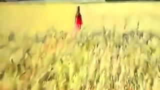 Алексей Фролов - Два крыла