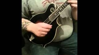 Shawn Brock- The Loar LM 500 VS mandolin demo