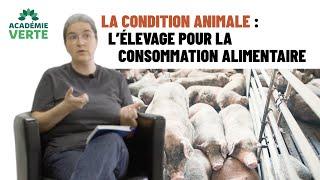 Masterclass - Brigitte Gothière de l'association L214