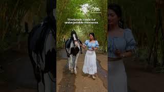 Activities At Malhar Machi Luxury Mountain Resort | Rifel Shooting | Archery | Zipline #malharmachi