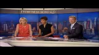 Varicose Vein Treatment In NYC: Dr. David Greuner on WABC 7 News