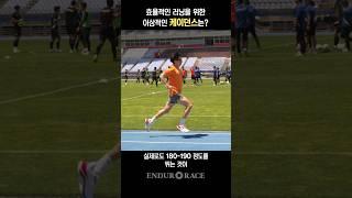 서울대 스포츠공학 연구원이 알려주는, 이상적인 러닝 케이던스는?