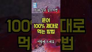 오래 살고 싶으면 문어 '이렇게' 드세요! #건강정보 #건강