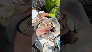 Вот почему я так люблю Приморский край