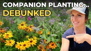 Companion Planting Explained: What Actually Works (and What Doesn’t)