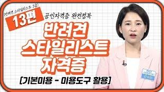 반려견 스타일리스트 13강 | 기본미용 - 미용도구 활용