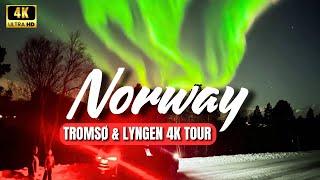 NORWAY TROMSØ - LYNGEN SNOWMOBILE SAFARI - AURORA BOREALIS