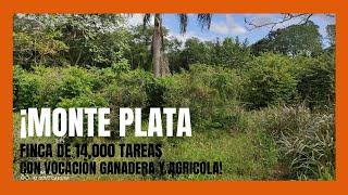 Finca de 14,000 tareas Ganadera en Monte Plata