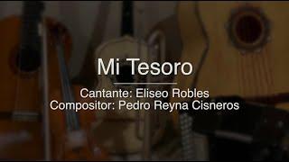 Mi Tesoro - Puro Mariachi Karaoke - Eliseo Robles