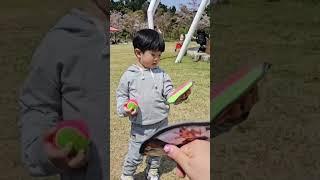 #창원아이와가볼만한곳 #창원단감테마공원 #창원체험활동 #창원피그닉장소 #창원나들이장소