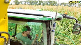 Maisernte mit John Deere 9500i & Köhl Harvest #FarmulaT