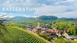 Kaiserstuhl - Wandern im Breisgau - große 20km Runde