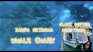 GLASS BOTTON #boattour Experience #whalesharkwatching Okinawa Japan:GG ADVENTURE LOVER’S