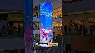Is This the Craziest Mall in the World? | SM Mall of Asia, Manila #mallofasia