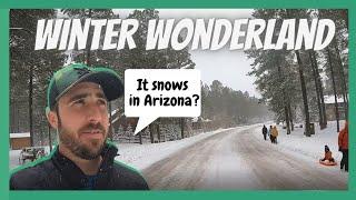   Winter Wonderland in Pinetop, Arizona | *BONUS* Cabin Tour