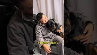 你们看她多会啊…… #拉登与阿亮的日常生活