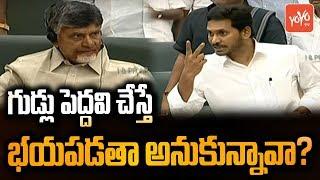 AP CM Jagan Serious Warning to Chandrababu Naidu Behaviour in AP Assembly | TDP Vs YSRCP | YOYO TV