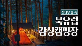 해외감성 가득한 자연 속 캠핑장 추천 | 서울근교 캠핑장 | 포천 캠핑장