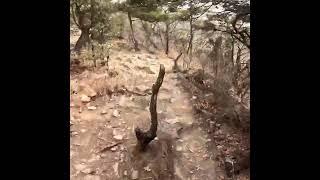 목상에서 계양산 정상까지 #gopro #travel #running #trailrunning #트레일러닝