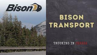 Trucking Company Highlight: Bison Transport