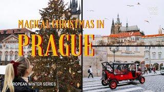 YOU NEED TO EXPERIENCE CHRISTMAS IN PRAGUE! | European Winter Vlog 6