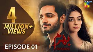 Bharam - Episode 1 - Wahaj Ali - Noor Zafar Khan - Best Pakistani Drama - HUM TV