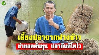 แพอาหารปลาลดต้นทุน จากธรรมชาติ ทำเองง่ายๆ เลี้ยงปลาโตเร็ว