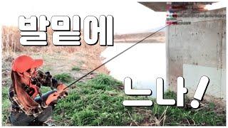 가까운 곳! 수도권에도 존재했던 스쿨링!! 찾으면 느나! Bass fishing 배스낚시