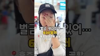 호주여행 갈 때 절대 가지고가면 안 되는 것