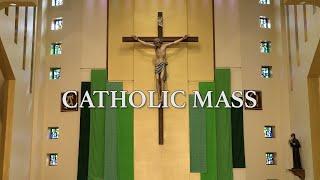 Roman Catholic Mass for September 22nd, 2024: Twenty-fifth Sunday in Ordinary Time