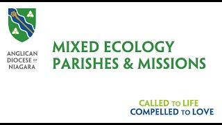 Mixed Ecology Church: Cultural Change in a local Parish or Mission with Andrew Stephen-Rennie