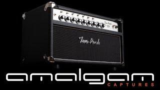 Ultimate Dumble Overdrive Speacial Tones! Two-Rock TS-1 V2 100W captures for ToneX and Quad Cortex