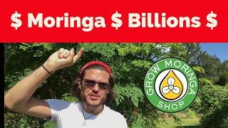 How Does Moringa Makes Billions? The World’s MOST Useful & Profitable Cash Crop