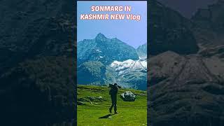 Kashmir Travel Vlog #travel #shorts #shortvideo #travelkashmir