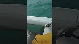 'I'm alive': Pilot is rescued by sheriff's deputy after ocean crash #Shorts