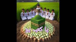 HameedRaza Islamic #hamad #duet #hameed #love #hamed #funny #hammad ️