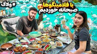 صبحانه رویایی با فلامینگو هاگرون ترین صبحانه استانبول @nilomahro